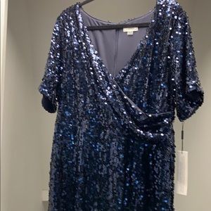 Blue Sequin Calvin Klein gown